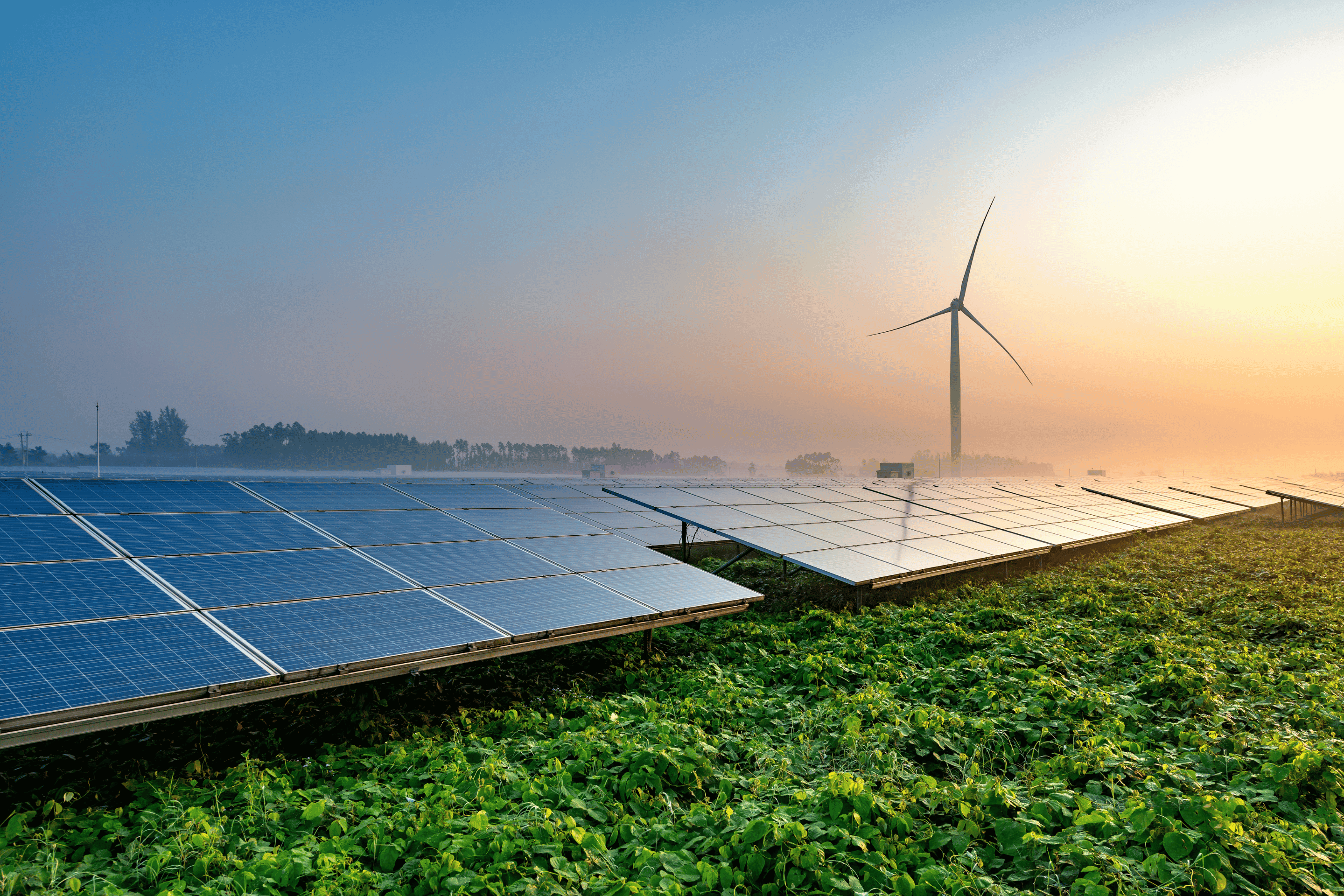 Solar panel facility background